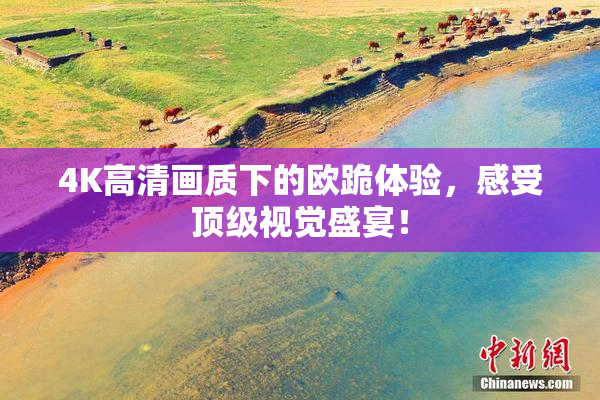 4K高清画质下的欧跪体验，感受顶级视觉盛宴！