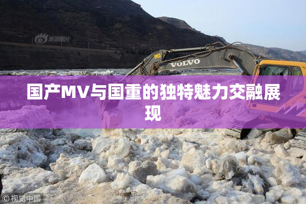 国产MV与国重的独特魅力交融展现
