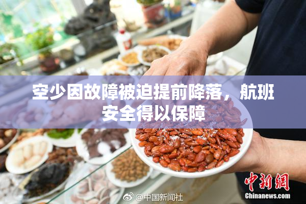 空少因故障被迫提前降落，航班安全得以保障