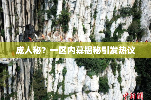 成人秘？一区内幕揭秘引发热议