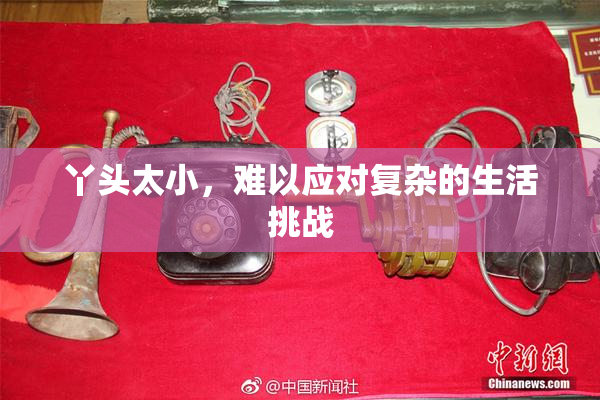 丫头太小，难以应对复杂的生活挑战