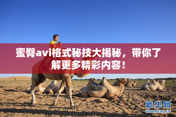 蜜臀avi格式秘技大揭秘，带你了解更多精彩内容！