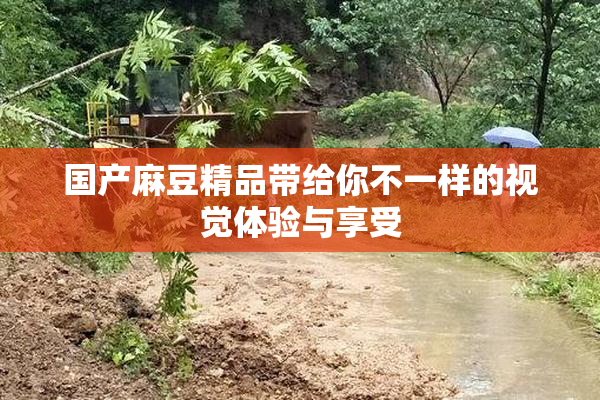 国产麻豆精品带给你不一样的视觉体验与享受