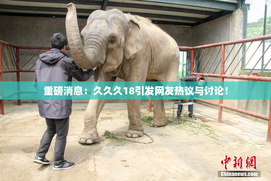 重磅消息：久久久18引发网友热议与讨论！
