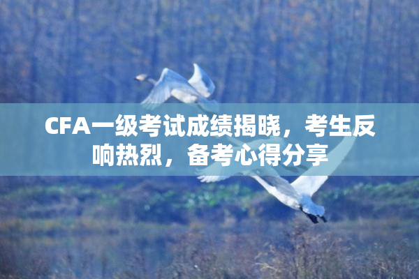 CFA一级考试成绩揭晓，考生反响热烈，备考心得分享