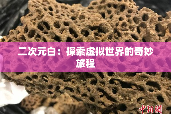 二次元白：探索虚拟世界的奇妙旅程