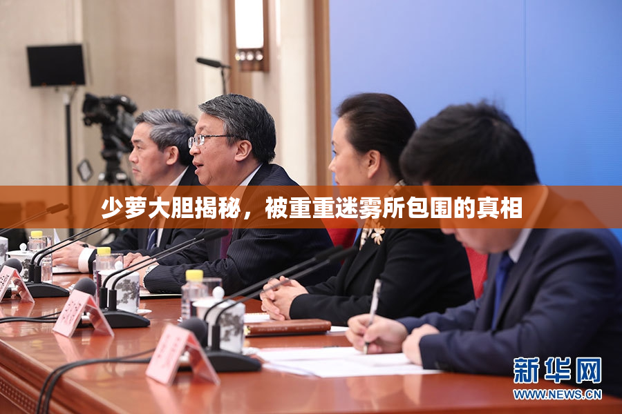 少萝大胆揭秘，被重重迷雾所包围的真相
