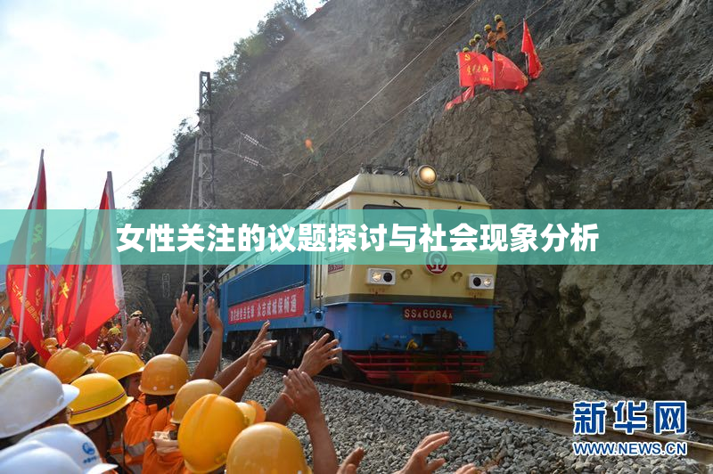 女性关注的议题探讨与社会现象分析