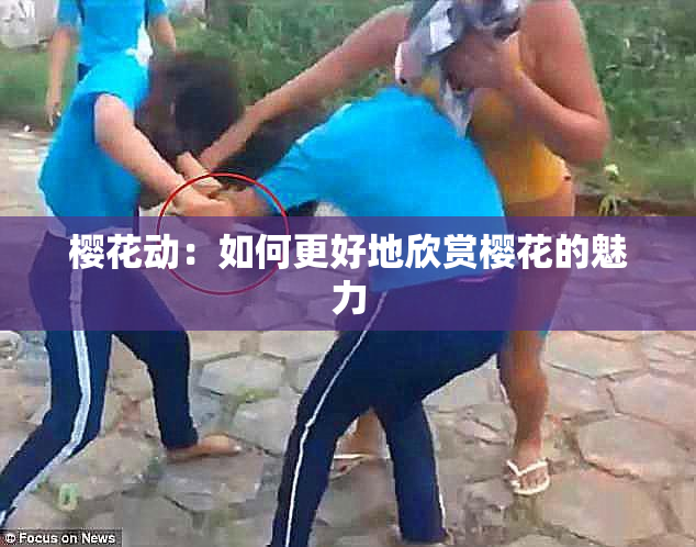 樱花动：如何更好地欣赏樱花的魅力