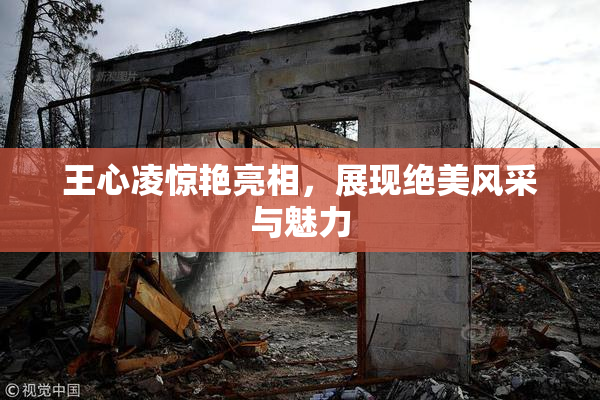 王心凌惊艳亮相，展现绝美风采与魅力