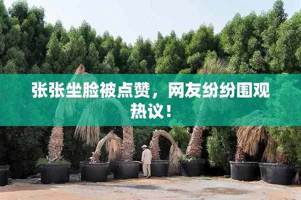 张张坐脸被点赞，网友纷纷围观热议！