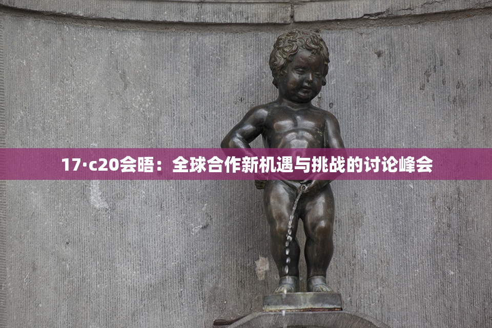 17·c20会晤：全球合作新机遇与挑战的讨论峰会