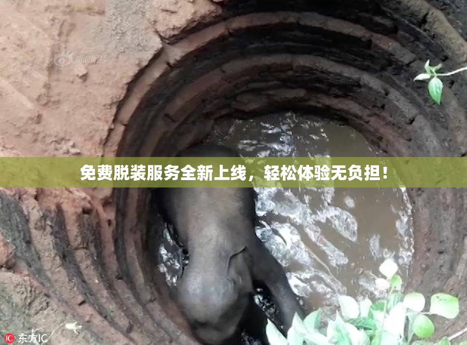 免费脱装服务全新上线，轻松体验无负担！