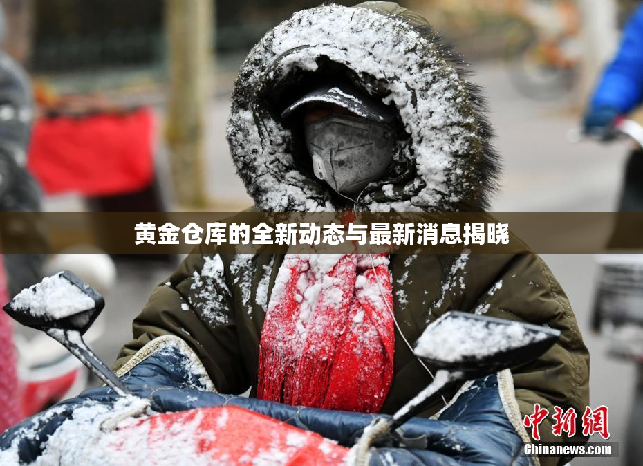 黄金仓库的全新动态与最新消息揭晓