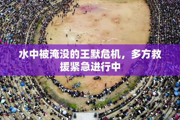 水中被淹没的王默危机，多方救援紧急进行中