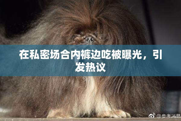 在私密场合内裤边吃被曝光，引发热议