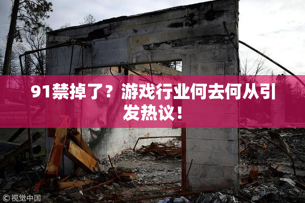 91禁掉了？游戏行业何去何从引发热议！