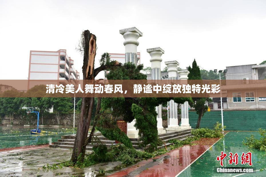 清冷美人舞动春风，静谧中绽放独特光彩