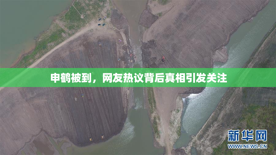 申鹤被到，网友热议背后真相引发关注
