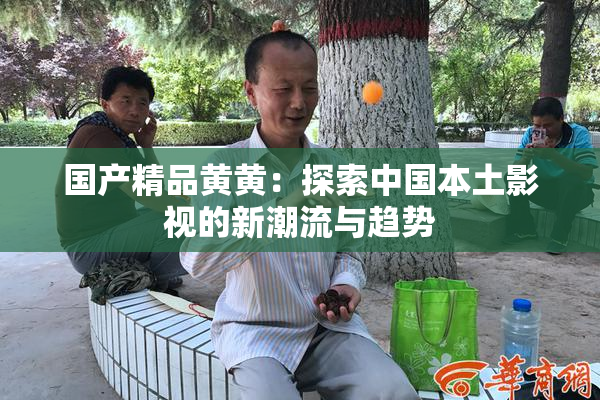 国产精品黄黄：探索中国本土影视的新潮流与趋势