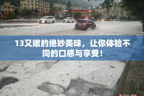 13又嫩的绝妙美味，让你体验不同的口感与享受！
