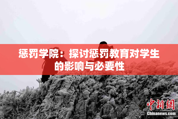 惩罚学院：探讨惩罚教育对学生的影响与必要性