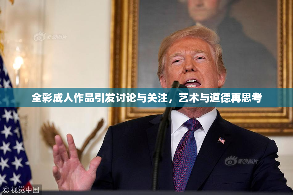 全彩成人作品引发讨论与关注，艺术与道德再思考