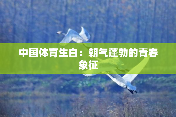 中国体育生白：朝气蓬勃的青春象征