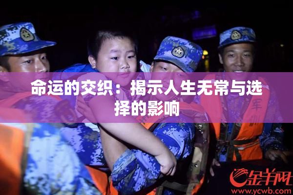 命运的交织：揭示人生无常与选择的影响