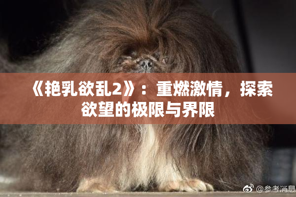 《艳乳欲乱2》：重燃激情，探索欲望的极限与界限