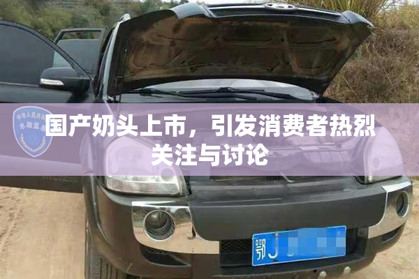 国产奶头上市，引发消费者热烈关注与讨论