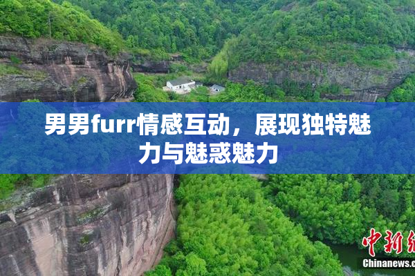 男男furr情感互动，展现独特魅力与魅惑魅力