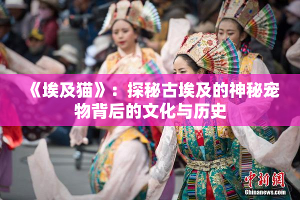 《埃及猫》：探秘古埃及的神秘宠物背后的文化与历史