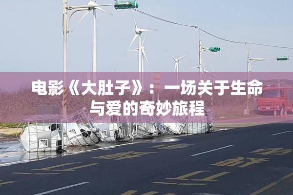 电影《大肚子》：一场关于生命与爱的奇妙旅程