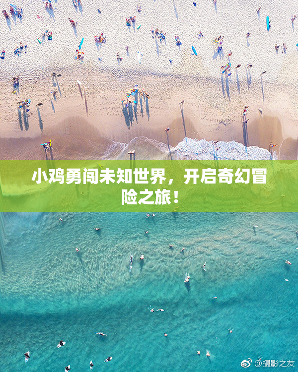 小鸡勇闯未知世界，开启奇幻冒险之旅！