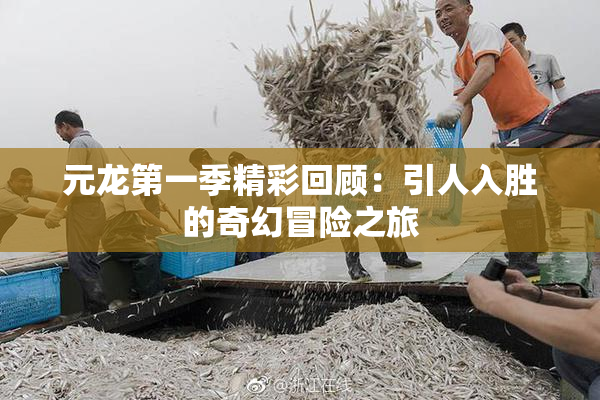 元龙第一季精彩回顾：引人入胜的奇幻冒险之旅
