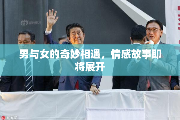 男与女的奇妙相遇，情感故事即将展开