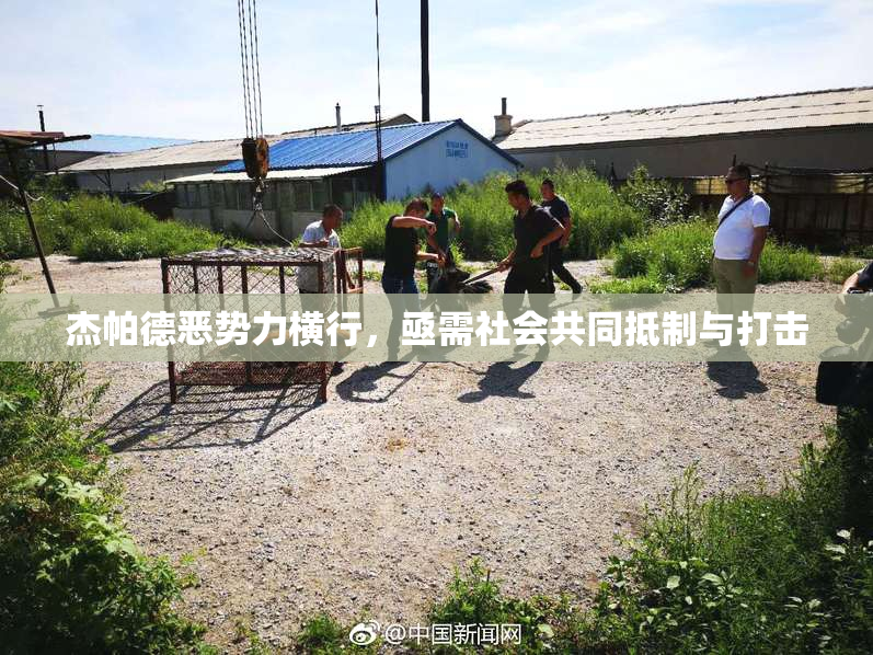 杰帕德恶势力横行，亟需社会共同抵制与打击