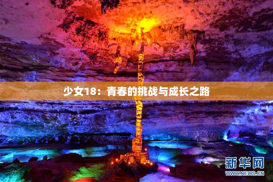 少女18：青春的挑战与成长之路