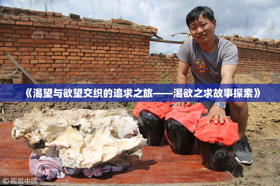 《渴望与欲望交织的追求之旅——渴欲之求故事探索》