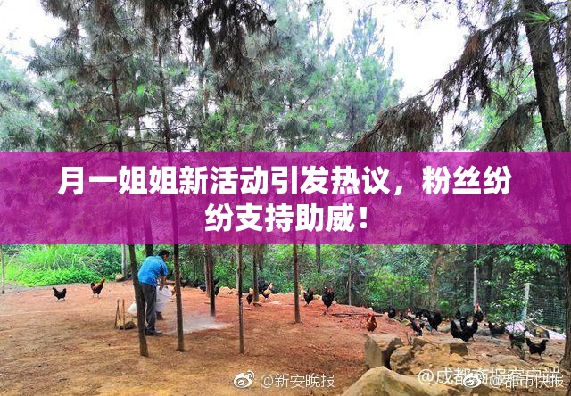 月一姐姐新活动引发热议，粉丝纷纷支持助威！
