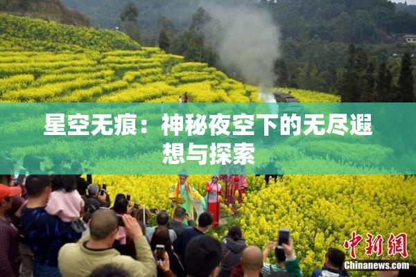 星空无痕：神秘夜空下的无尽遐想与探索