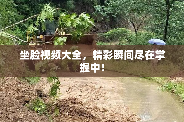 坐脸视频大全，精彩瞬间尽在掌握中！