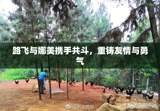 路飞与娜美携手共斗，重铸友情与勇气