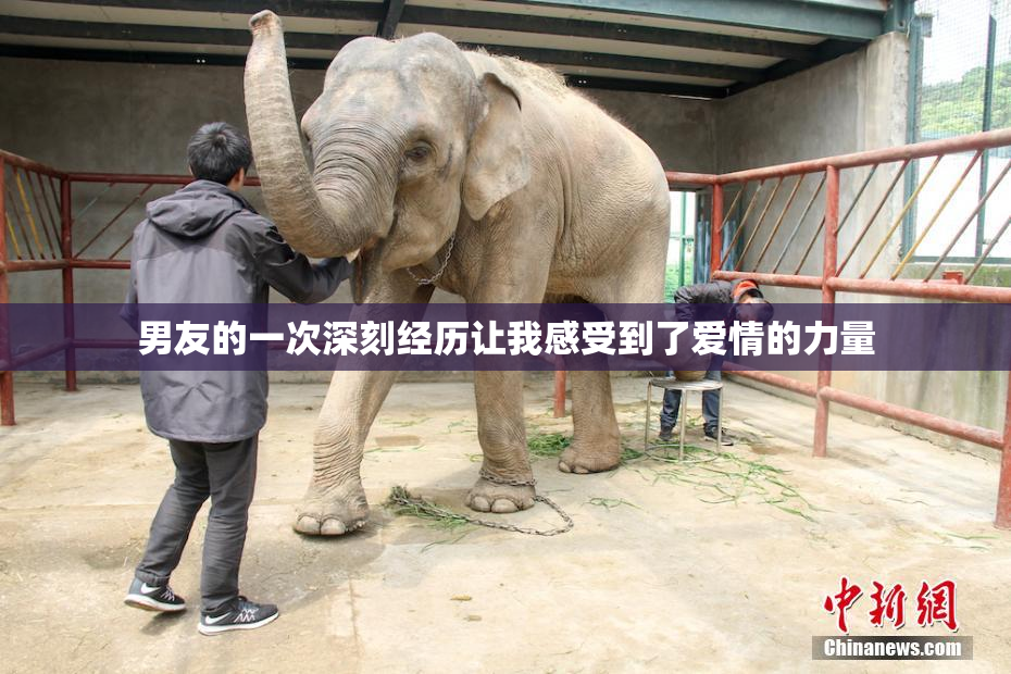 男友的一次深刻经历让我感受到了爱情的力量