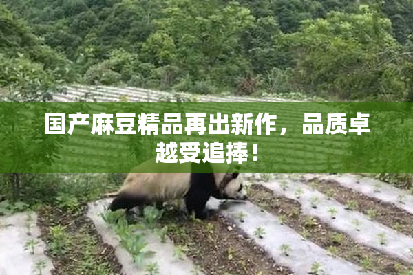 国产麻豆精品再出新作，品质卓越受追捧！