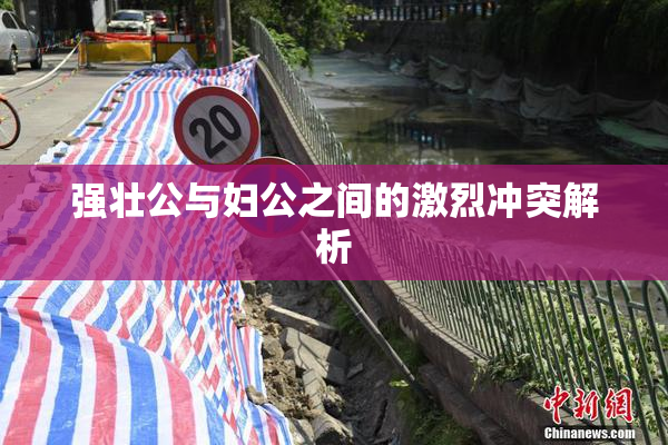 强壮公与妇公之间的激烈冲突解析