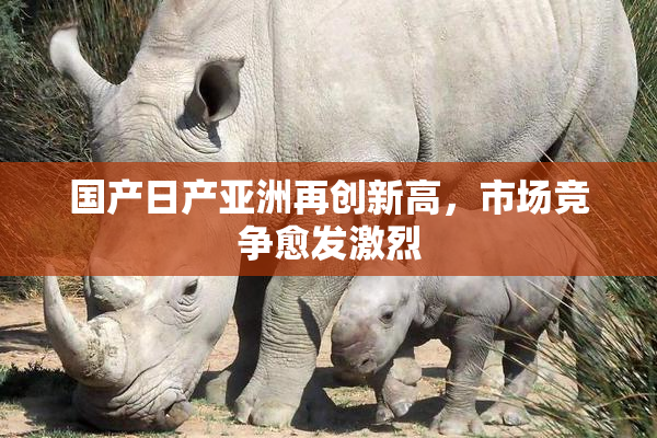 国产日产亚洲再创新高，市场竞争愈发激烈