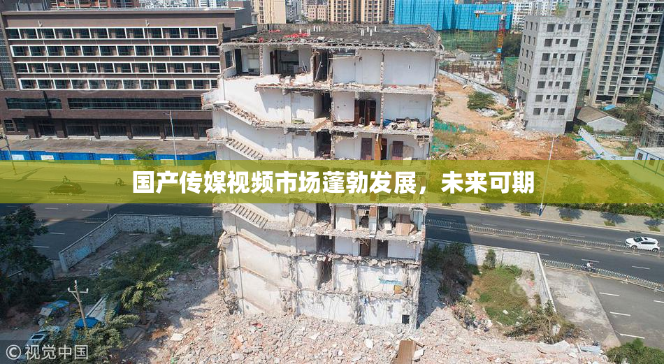 国产传媒视频市场蓬勃发展，未来可期