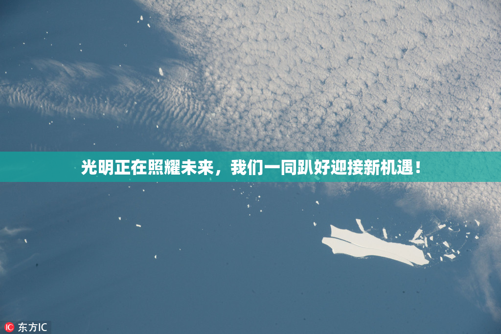 光明正在照耀未来，我们一同趴好迎接新机遇！